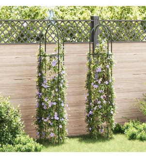 Garten-Ranktürme 2 Stk.