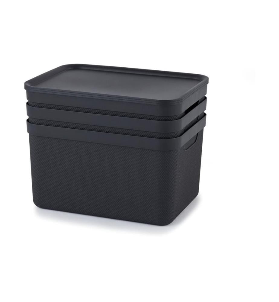 ROTHO - Boîte de rangement A4 Jive 3 pièces, Gris