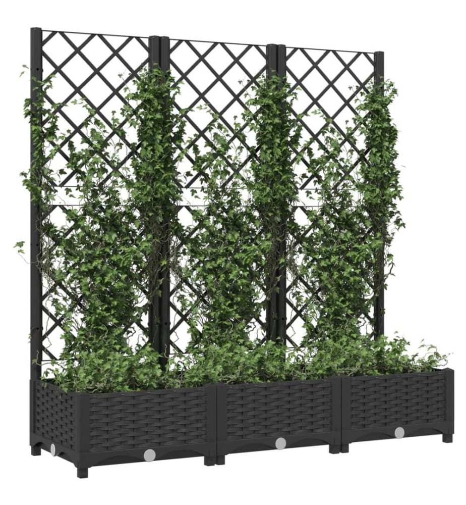 Garten-Pflanzgefäss mit Spalier Schwarz 120 x 40 x 121,5 cm PP