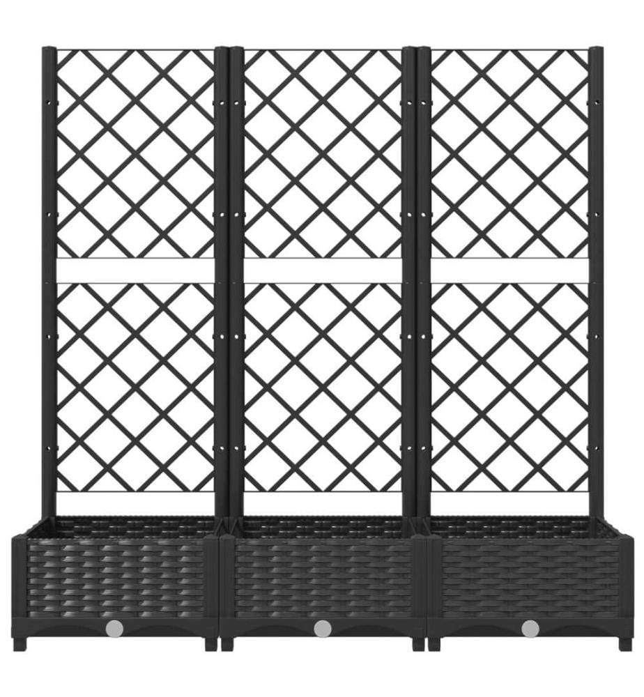 Garten-Pflanzgefäss mit Spalier Schwarz 120 x 40 x 121,5 cm PP