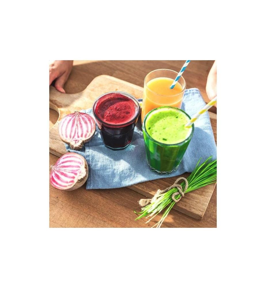 GASTROBACK - Slow Juicer Advanced vital Schwarz/Silber