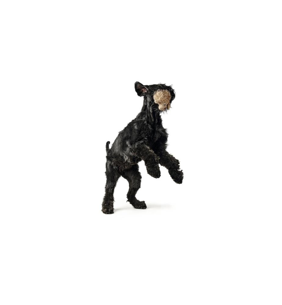 HUNTER - Jouet pour chien Pori – chien 17 cm