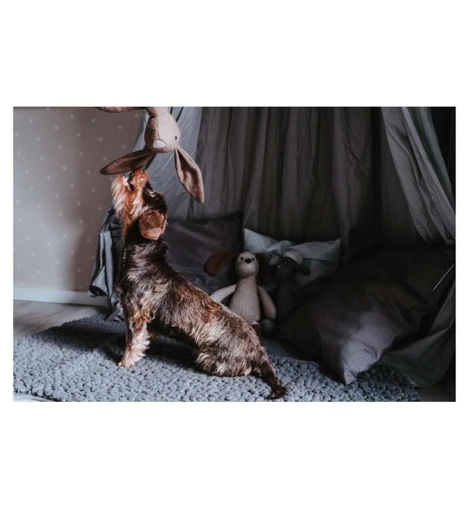 HUNTER - Jouet pour chien Marle Hase, 35 cm, brun