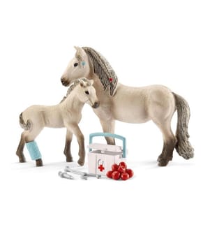 Erste-Hilfe-Koffer des Hannah Horse Club - 42430