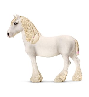 Shire Stute - 13735