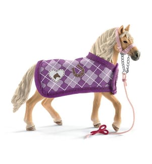 Reitclub Sofia - 42431