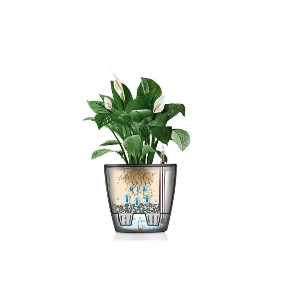 LECHUZA - Pflanzentopf Classico Premium 21 LS Dunkelgrau