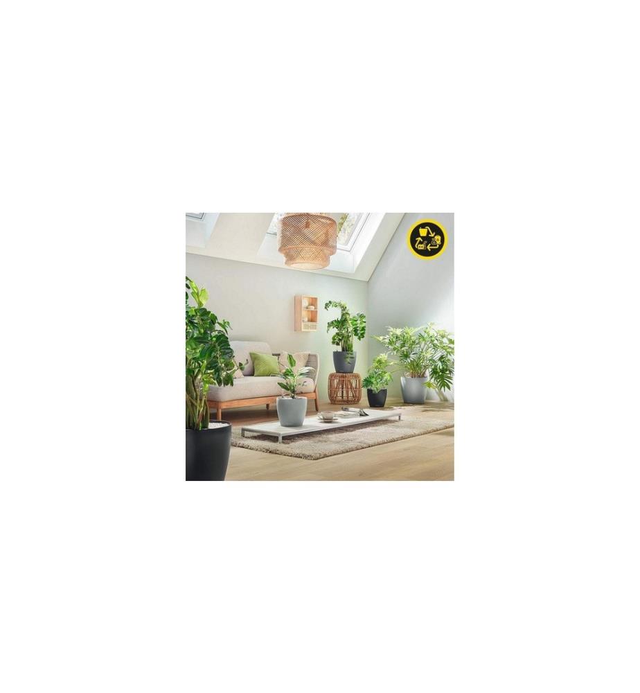 LECHUZA - CLASSICO Color Eco 21 Komplettset Hellgrau