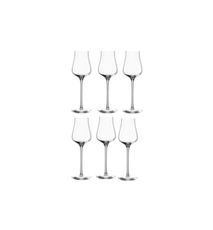 LEONARDO - Grappaglas Brunelli 210 ml, 6 Stück, Transparent