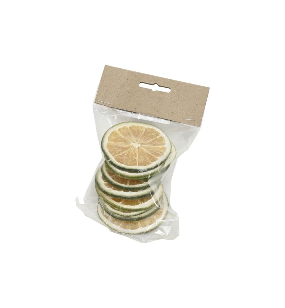 COCON - Orangenscheiben, 10 Stück, Grün