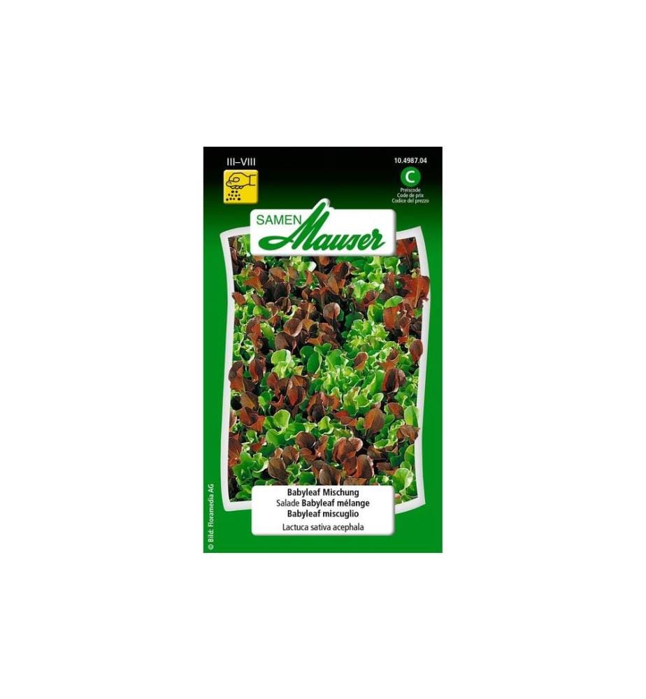 Samen Mauser - Semence Mélange Babyleaf