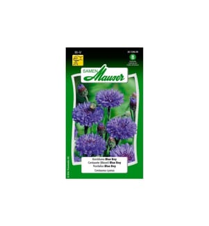 Samen Mauser - Saatgut Kornblume Blue Boy