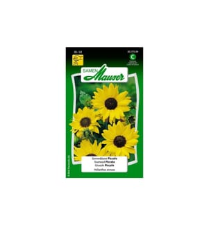 Samen Mauser - Saatgut Sonnenblume Piccolo