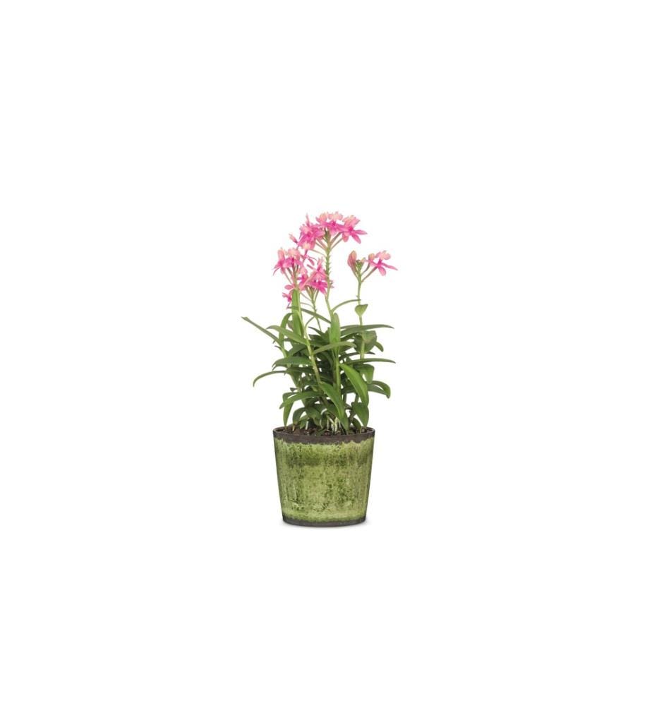 SCHEURICH - Blumentopf Meadow Glaze Ø 17.1 cm