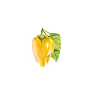 CLICK AND GROW - Samen Gelbe Peperoni