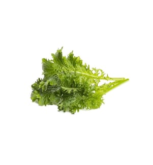 CLICK AND GROW - Samen Wasabi-Senf 3er-Pack