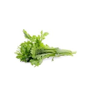 CLICK AND GROW - Samen Shungiku 3er-Pack