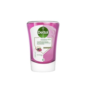 DETTOL - Seife No-Touch Nachfüller Gartenfrüchte 250 ml