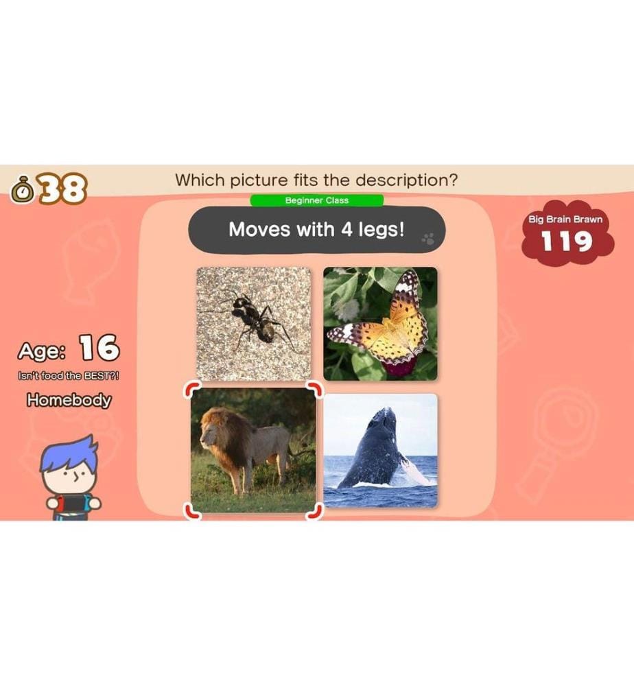 NINTENDO - Big Brain Academy: Kopf an Kopf