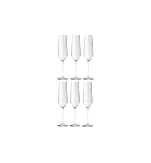 EVA SOLO - Champagnerglas Legio Nova 260 ml, 6 Stück, Transparent