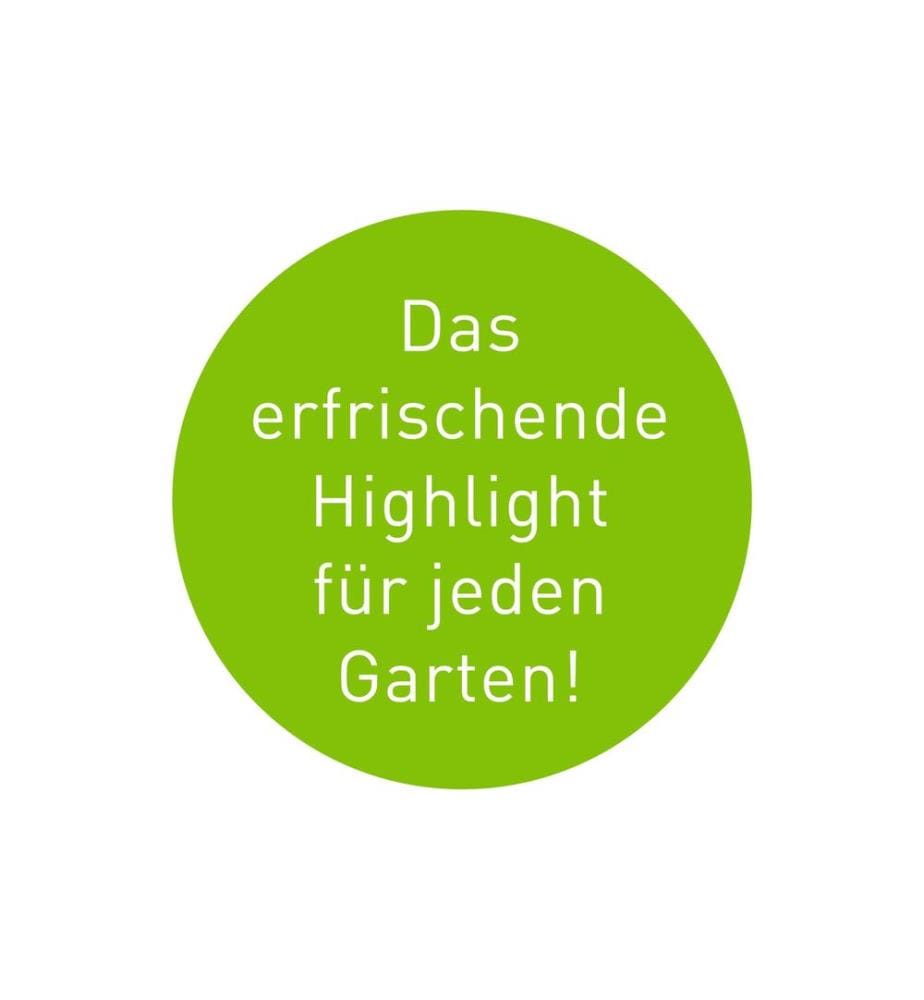 GARVIDA - Solar-Gartenfontäne 3.7 V Schwarz