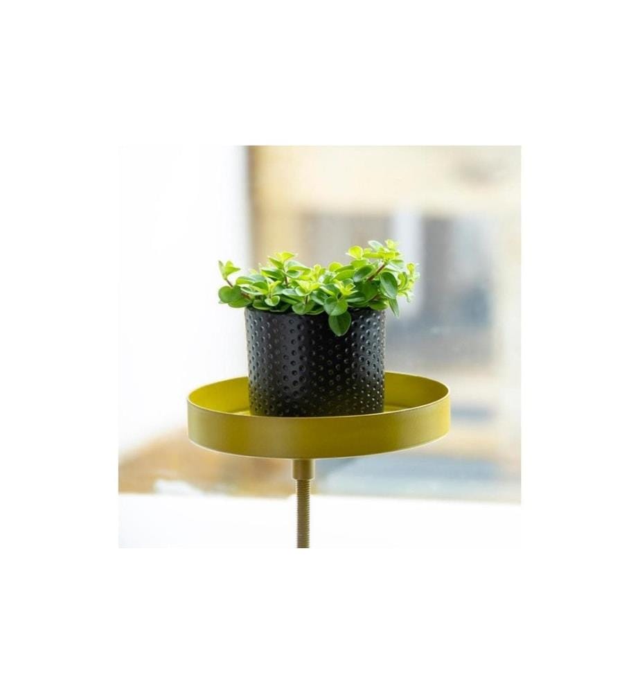 ESSCHERT DESIGN - Étagère avec pince Acier, Doré