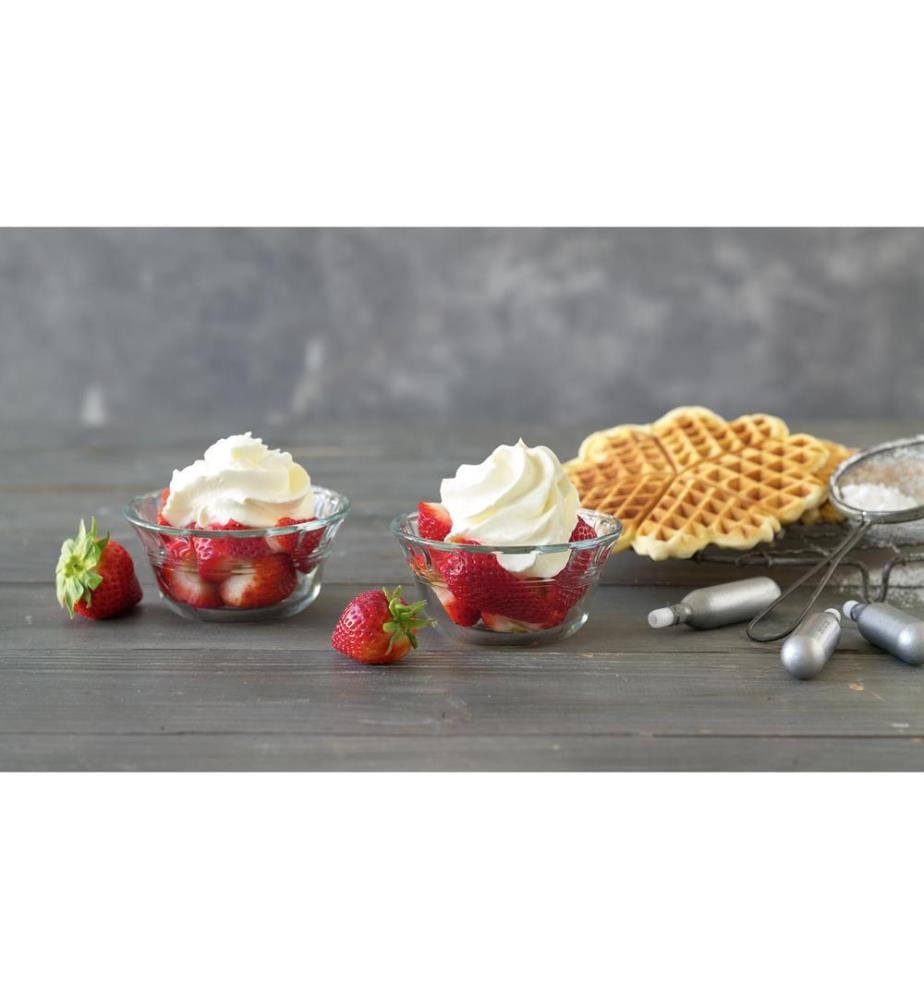 KISAG - Capsules pour souffleurs de crème 10 pièces