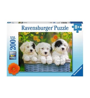 RAVENSBURGER - Puzzle Kuschelige Welpen