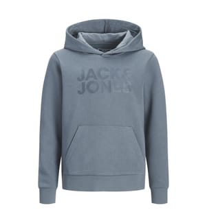 Sweat à capuche - Bleu mirage (logo tonal)