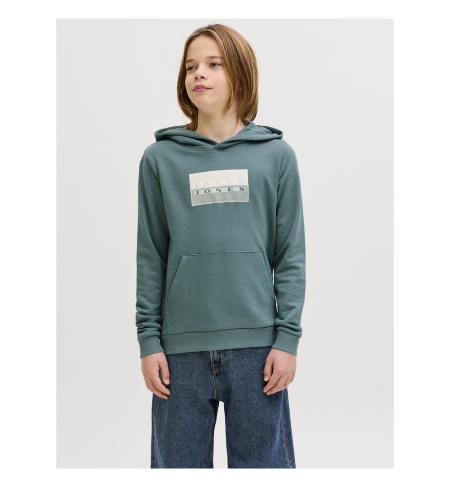 Hoodie Regular Fit - Vert d'Eau