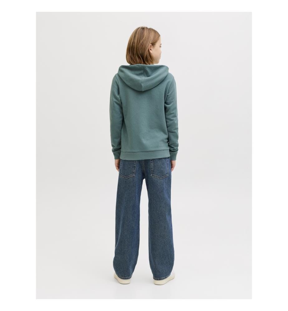 Hoodie Regular Fit - Vert d'Eau