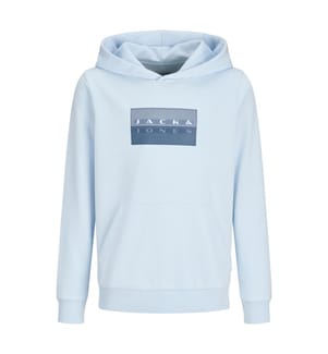 Hoodie Regular Fit - Bleu Clair