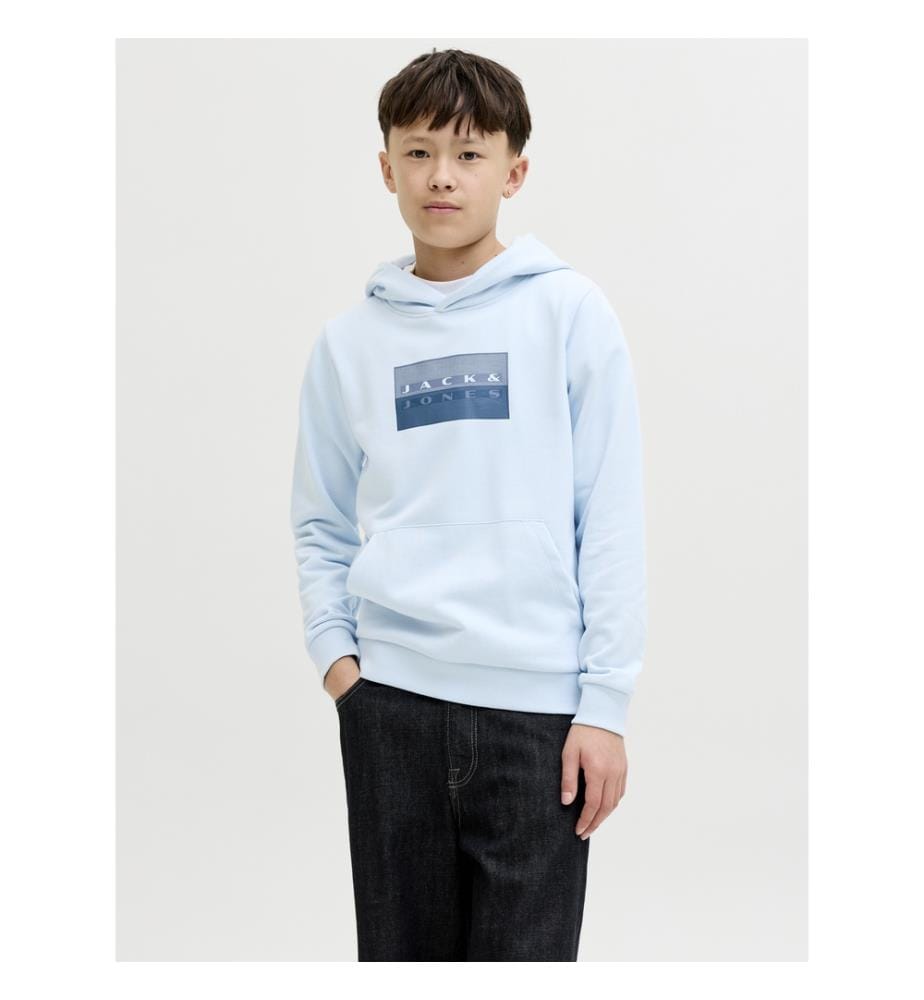 Hoodie Regular Fit - Bleu Clair