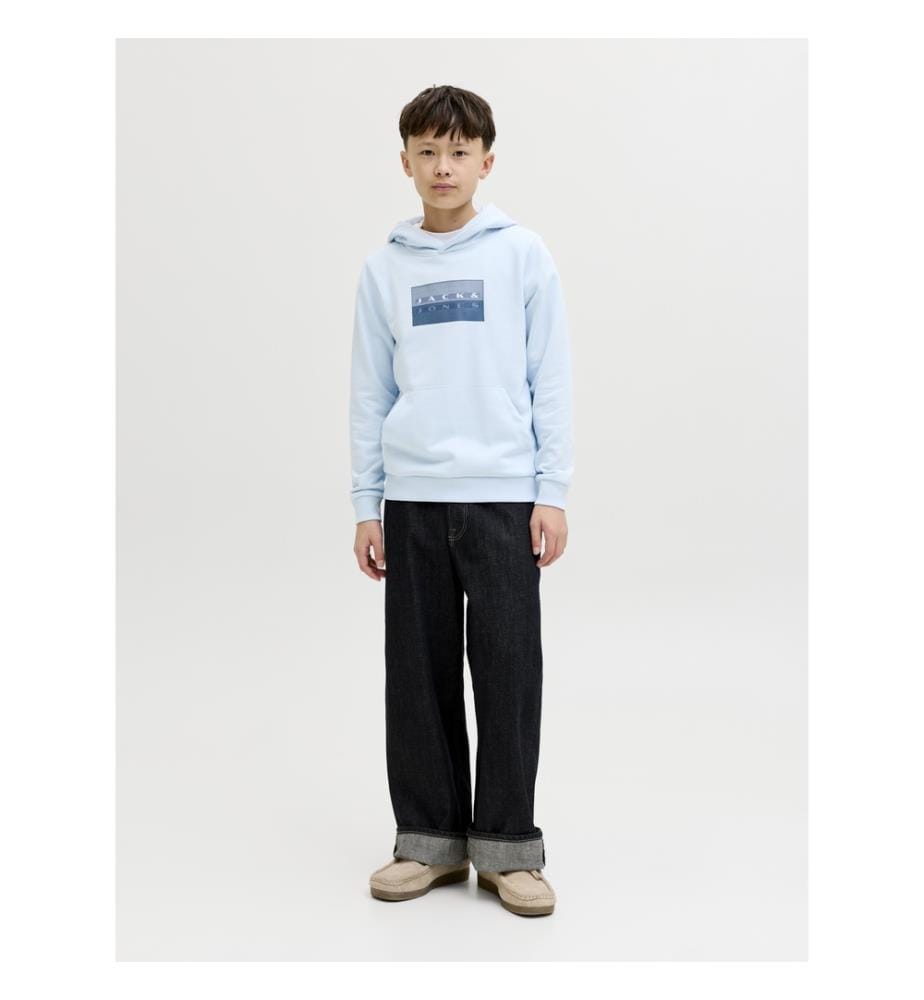Hoodie Regular Fit - Bleu Clair
