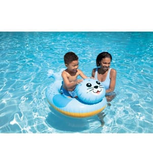 Pool Cruisers