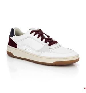 Sedral Court Sneakers - Beige und Schwarz