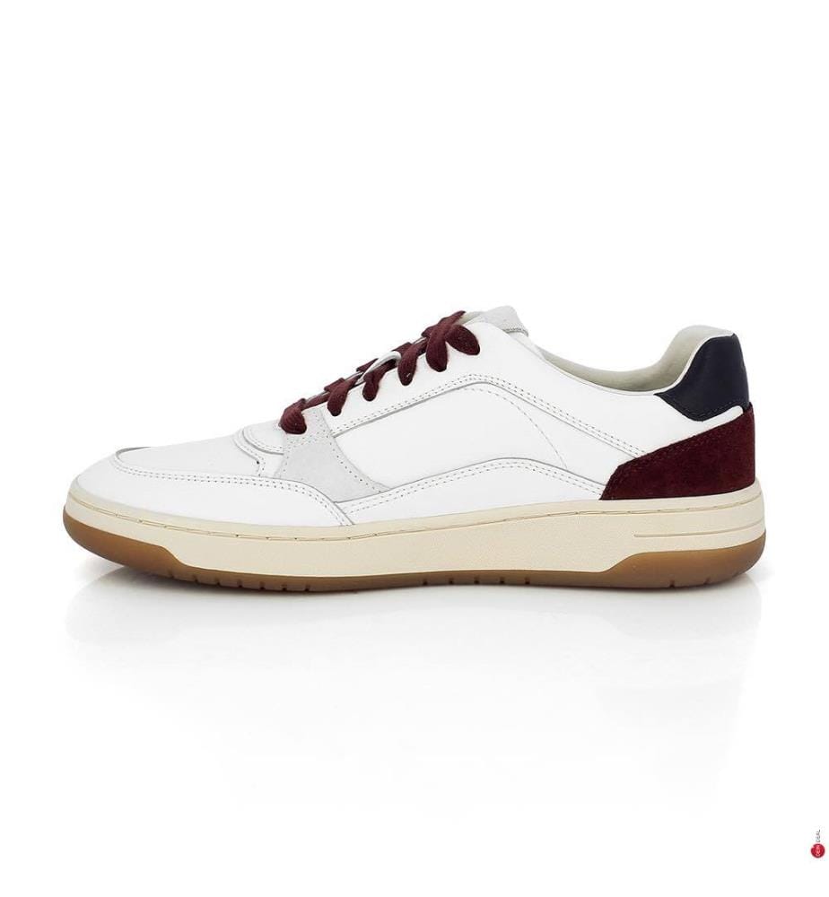 Sedral Court Sneakers - Beige und Schwarz
