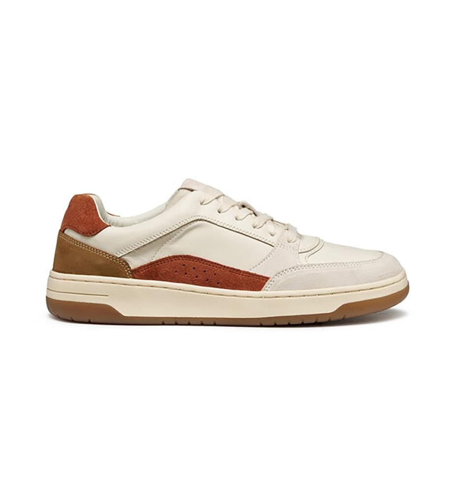 Baskets Sedral Court - Crème et Brun