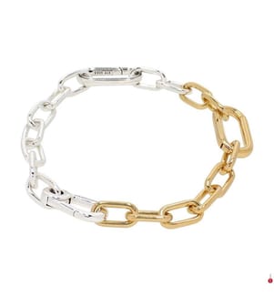 Bracciale Maglie della catena - Argento massiccio/oro
