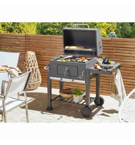 Gril de Barbecue à Charbon de Bois avec Roulettes en Acier Gris dans le Jardin ou Terrasse avec Mobile à Roulettes