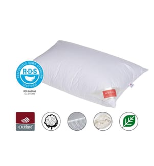 Cuscino Outlast® Proactive NexGen - 65 x 65 cm