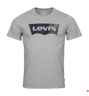 T-Shirt - Gris