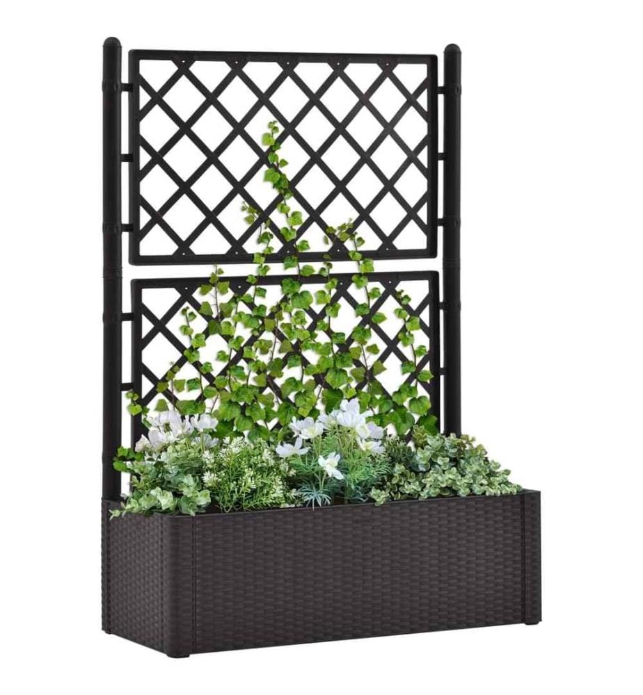 Lit surélevé de jardin treillis système d'arrosage Anthracite