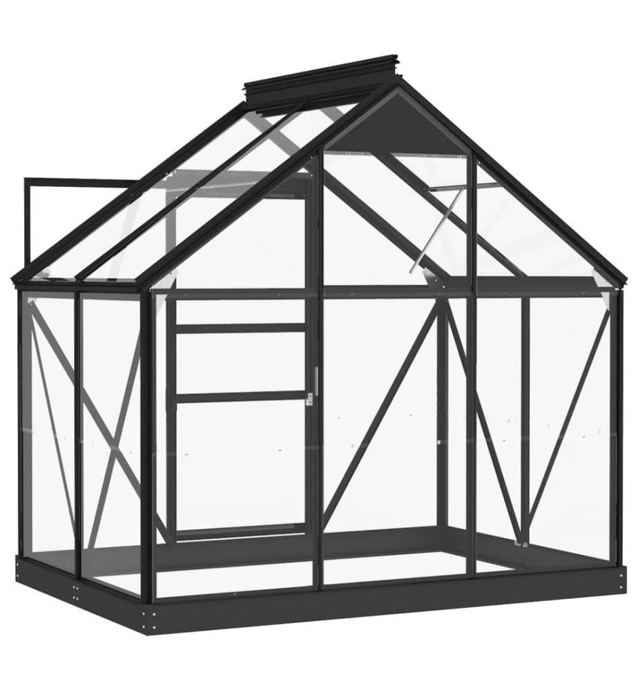 Glas Gewächshaus Anthrazit 155x103x191 cm Aluminium