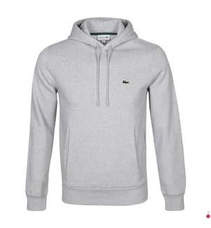 Hoodie en coton biologique - Gris Clair