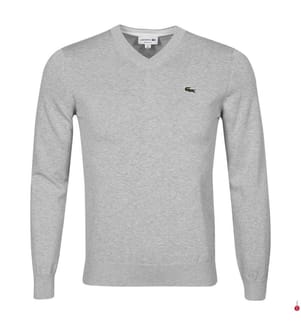 Pull à col V en coton biologique - Gris Clair