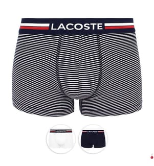 Lot de 3 Boxers Courts Coton Stretch - 3 Coloris