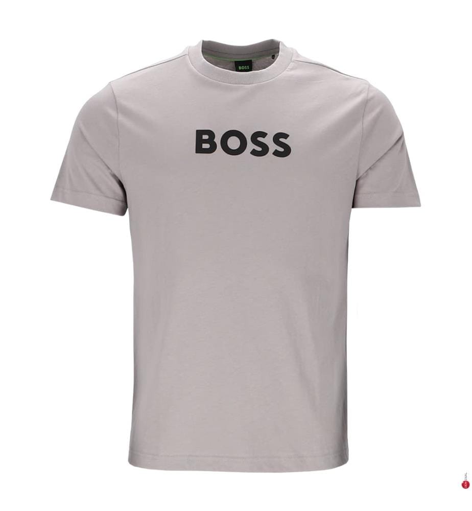 Logo T-Shirt - Grey