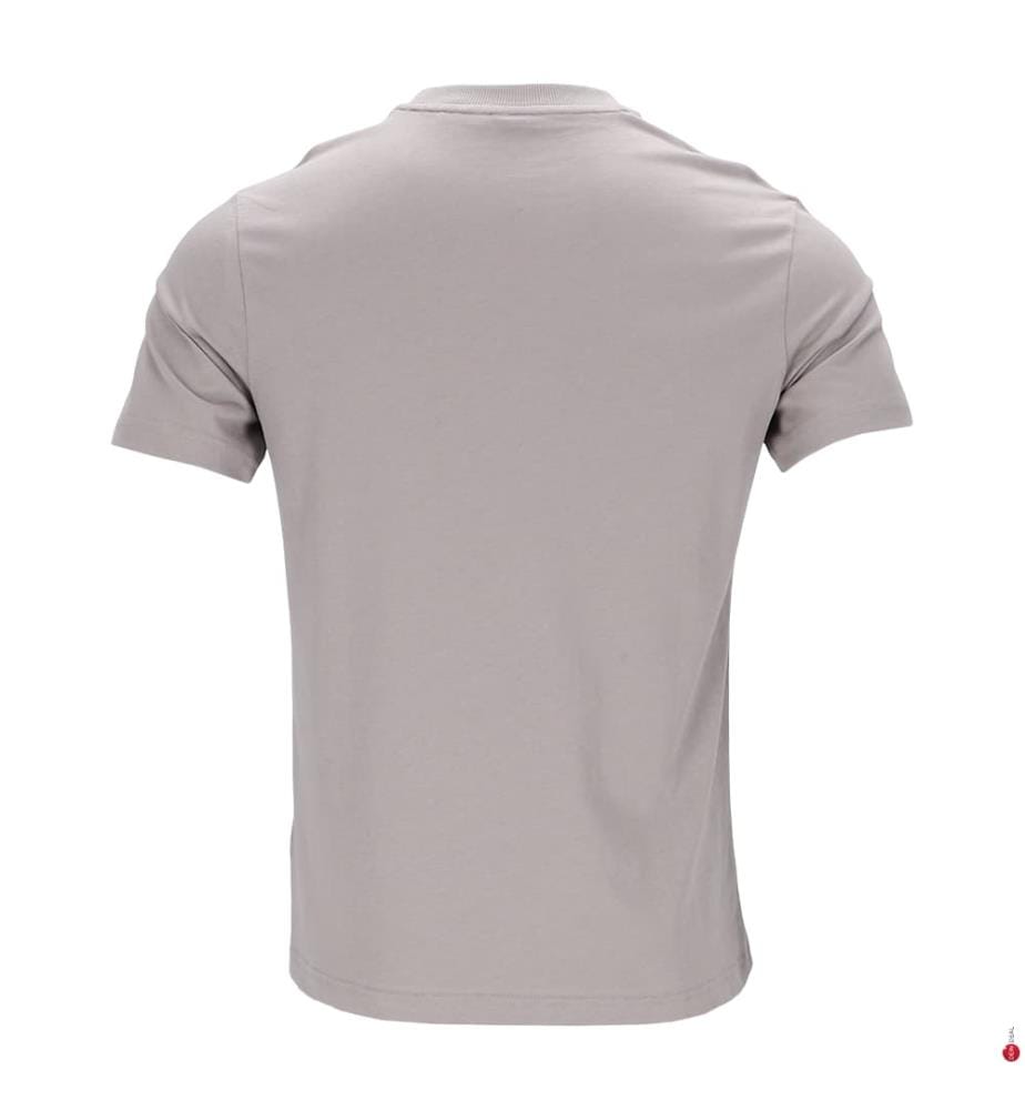 Logo T-Shirt - Grey