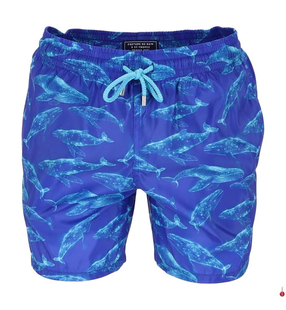 Pantaloncini da bagno ultraleggeri e impacchettabili Sparkling Whales - Versailles & Blue